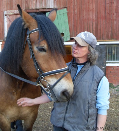 Lena och hästen Lotta